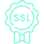 ssl certificate icon
